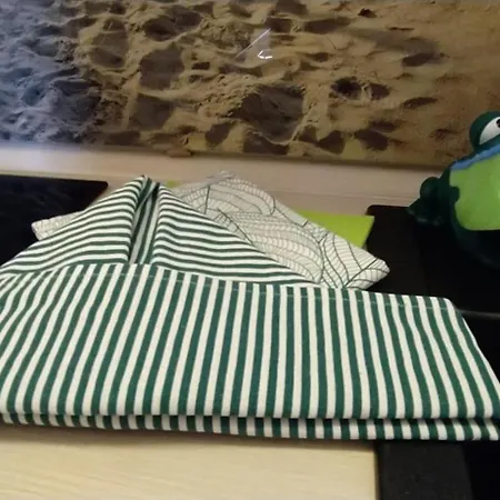 Strandmuschel C14 Appartamento Burhave