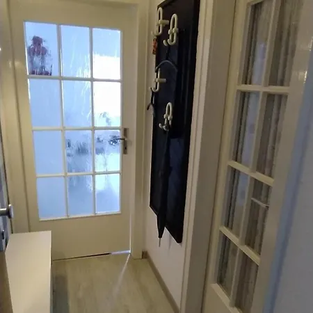 Strandmuschel C14 Burhave