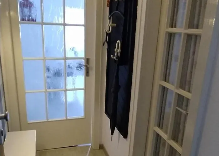 Strandmuschel C14 Burhave